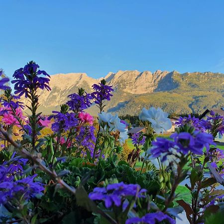 Haus Karina Hotel Bad Mitterndorf Eksteriør billede